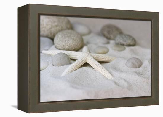 Still Life with Starfish-Andrea Haase-Framed Premier Image Canvas