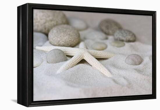 Still Life with Starfish-Andrea Haase-Framed Premier Image Canvas