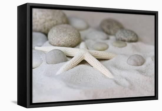 Still Life with Starfish-Andrea Haase-Framed Premier Image Canvas