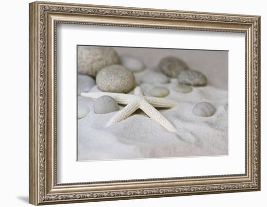 Still Life with Starfish-Andrea Haase-Framed Photographic Print