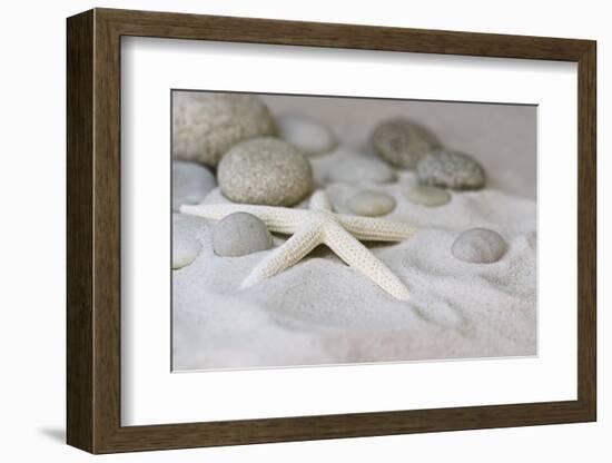 Still Life with Starfish-Andrea Haase-Framed Photographic Print