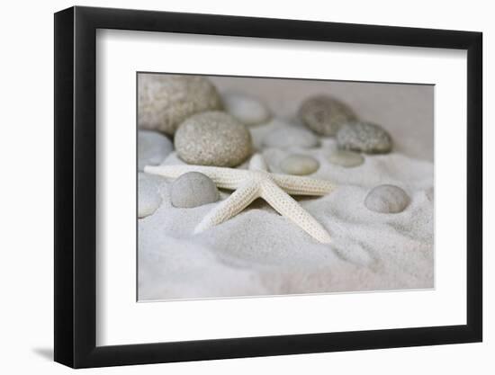 Still Life with Starfish-Andrea Haase-Framed Photographic Print