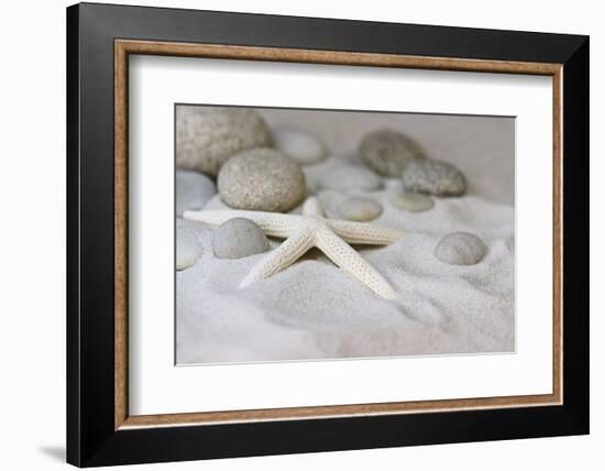 Still Life with Starfish-Andrea Haase-Framed Photographic Print