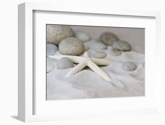 Still Life with Starfish-Andrea Haase-Framed Photographic Print