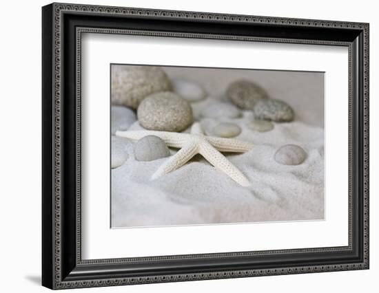 Still Life with Starfish-Andrea Haase-Framed Photographic Print