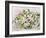 Still Life with Tiger Lilies, 1996-Alison Cooper-Framed Giclee Print