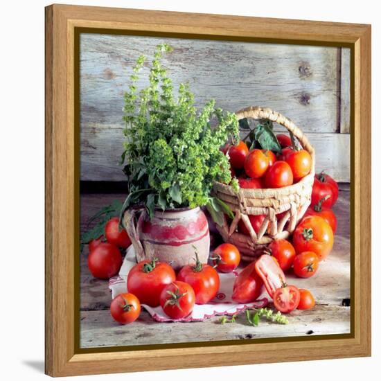 Still Life with Tomatoes and Flowering Basil in a Vase-null-Framed Premier Image Canvas