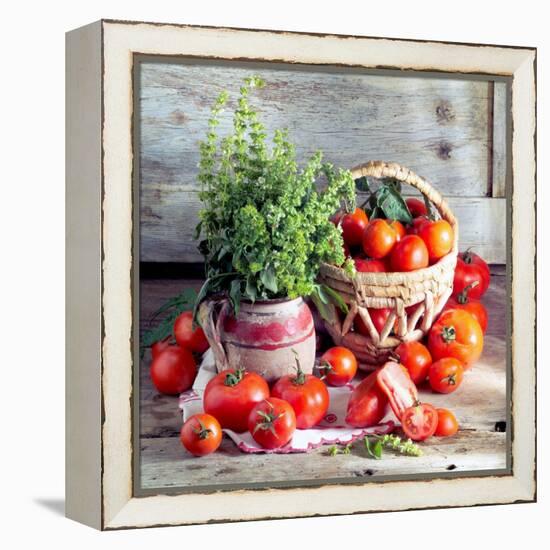 Still Life with Tomatoes and Flowering Basil in a Vase-null-Framed Premier Image Canvas