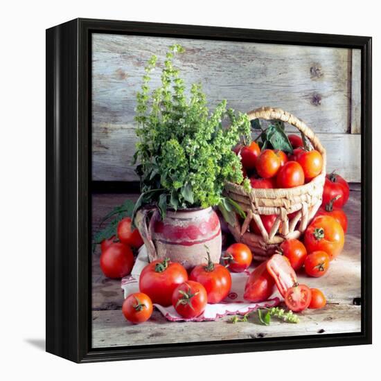 Still Life with Tomatoes and Flowering Basil in a Vase-null-Framed Premier Image Canvas