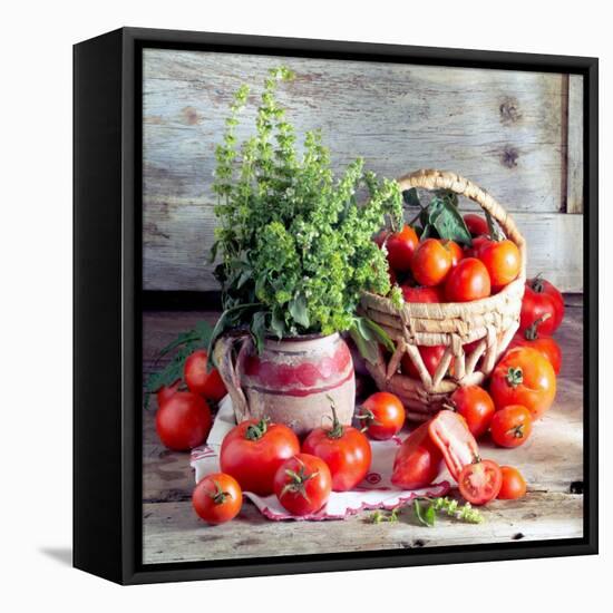 Still Life with Tomatoes and Flowering Basil in a Vase-null-Framed Premier Image Canvas