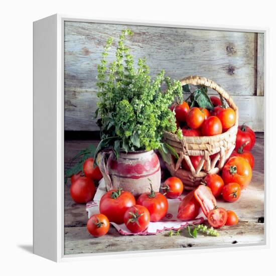 Still Life with Tomatoes and Flowering Basil in a Vase-null-Framed Premier Image Canvas