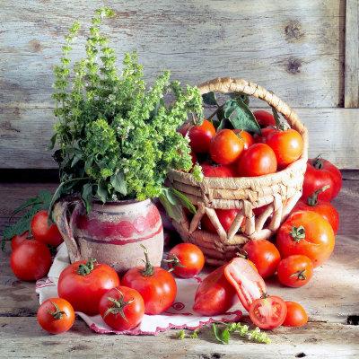 Image of Basil and tomatoes vase