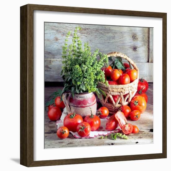 Still Life with Tomatoes and Flowering Basil in a Vase-null-Framed Photographic Print