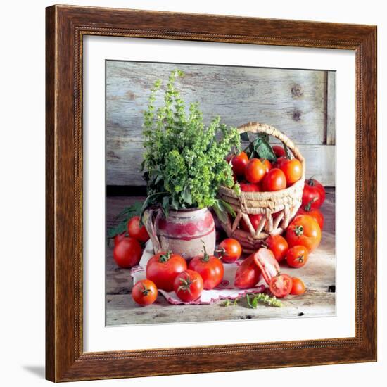 Still Life with Tomatoes and Flowering Basil in a Vase-null-Framed Photographic Print