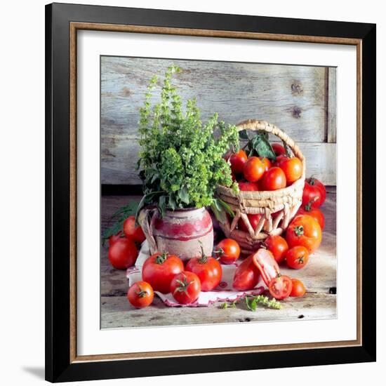 Still Life with Tomatoes and Flowering Basil in a Vase-null-Framed Photographic Print