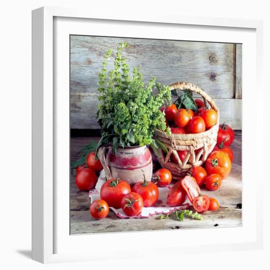 Still Life with Tomatoes and Flowering Basil in a Vase-null-Framed Photographic Print