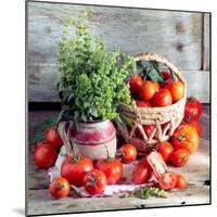 Still Life with Tomatoes and Flowering Basil in a Vase-null-Mounted Photographic Print