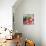 Still Life with Tomatoes and Flowering Basil in a Vase-null-Mounted Photographic Print displayed on a wall