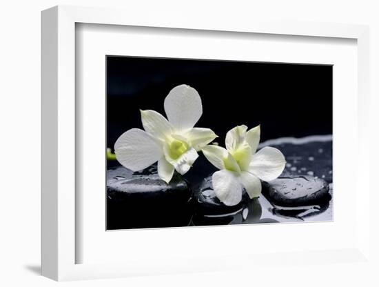 Still Life with Two White Orchid with Stones-crystalfoto-Framed Photographic Print