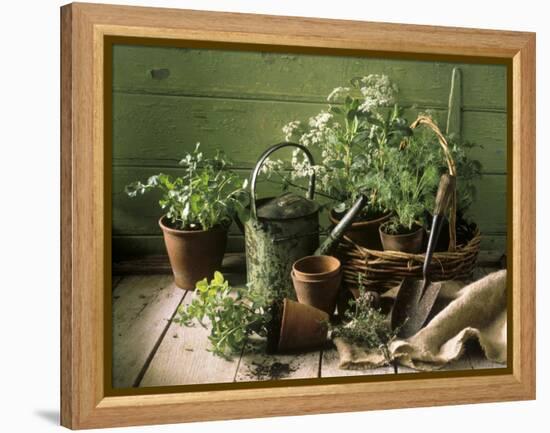 Still Life with Various Herbs in Pots-Gerrit Buntrock-Framed Premier Image Canvas