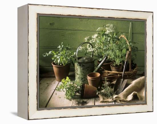 Still Life with Various Herbs in Pots-Gerrit Buntrock-Framed Premier Image Canvas