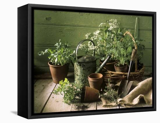 Still Life with Various Herbs in Pots-Gerrit Buntrock-Framed Premier Image Canvas
