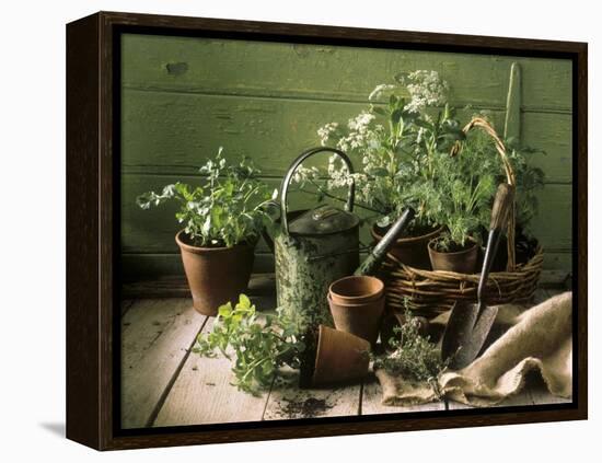 Still Life with Various Herbs in Pots-Gerrit Buntrock-Framed Premier Image Canvas