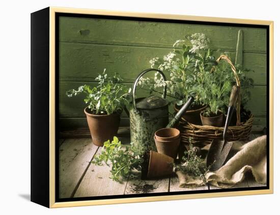 Still Life with Various Herbs in Pots-Gerrit Buntrock-Framed Premier Image Canvas