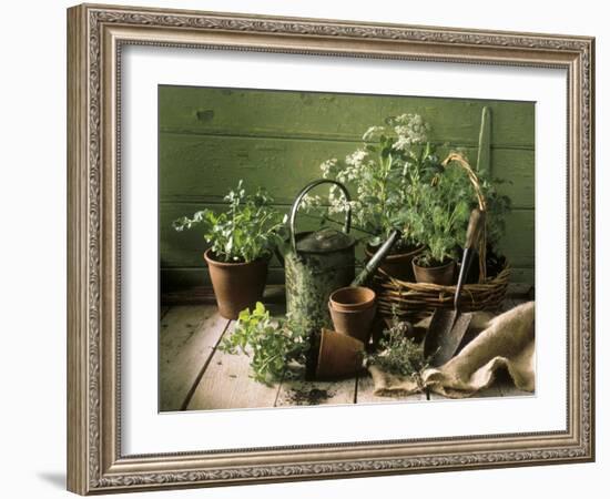 Still Life with Various Herbs in Pots-Gerrit Buntrock-Framed Photographic Print