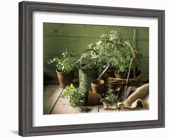 Still Life with Various Herbs in Pots-Gerrit Buntrock-Framed Photographic Print