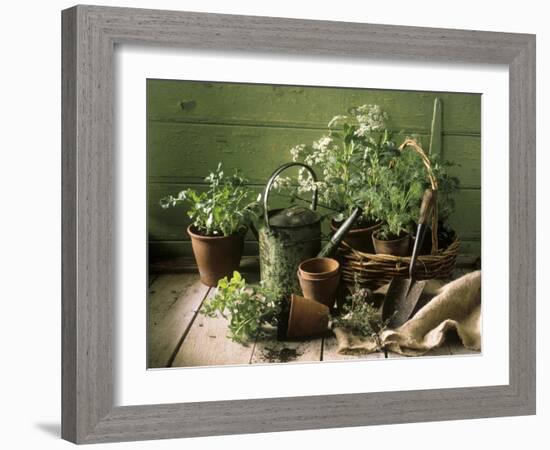 Still Life with Various Herbs in Pots-Gerrit Buntrock-Framed Photographic Print