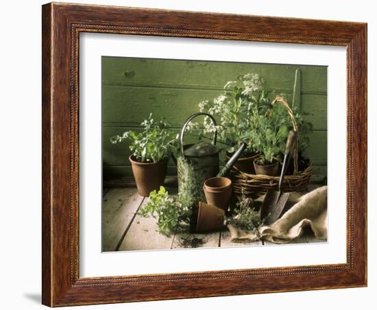 Still Life with Various Herbs in Pots-Gerrit Buntrock-Framed Photographic Print