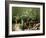 Still Life with Various Herbs in Pots-Gerrit Buntrock-Framed Photographic Print