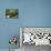 Still Life with Various Herbs in Pots-Gerrit Buntrock-Mounted Photographic Print displayed on a wall