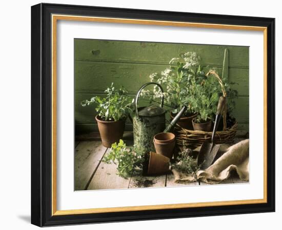 Still Life with Various Herbs in Pots-Gerrit Buntrock-Framed Photographic Print