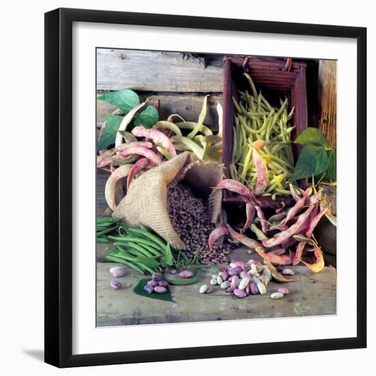 Still Life with Various Types of Beans-null-Framed Photographic Print