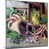 Still Life with Various Types of Beans-null-Mounted Photographic Print