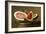 Still Life with Watermelon, American School (19th Century)-null-Framed Giclee Print