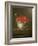 Still Life with Wild Strawberries in a Chinese Bowl-Adrian Coorte-Framed Giclee Print