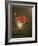 Still Life with Wild Strawberries in a Chinese Bowl-Adrian Coorte-Framed Giclee Print