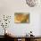 Still Life-Vincent van Gogh-Mounted Art Print displayed on a wall