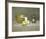 Still Life-Emil Carlsen-Framed Premium Giclee Print