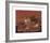 Still Life-Jankel Adler-Framed Premium Giclee Print