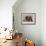 Still Life-Morandi Giorgio-Framed Giclee Print displayed on a wall