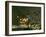 Still Life-Balthasar van der Ast-Framed Giclee Print