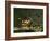 Still Life-Balthasar van der Ast-Framed Giclee Print