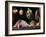 Still Life-Juan Sanchez Cotan-Framed Giclee Print