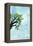 Still Out on a Limb-Brent Abe-Framed Premier Image Canvas