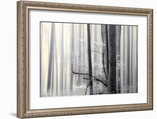 Still Silence-Marvin Pelkey-Framed Giclee Print