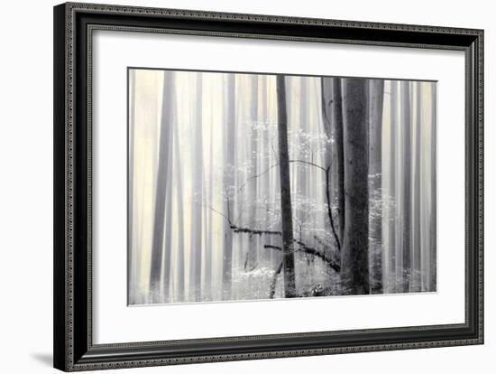 Still Silence-Marvin Pelkey-Framed Giclee Print